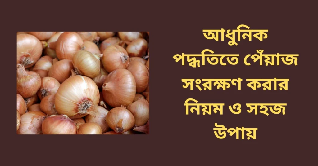 আধুনিক পদ্ধতিতে পেঁয়াজ সংরক্ষণ করার নিয়ম ও সহজ উপায়